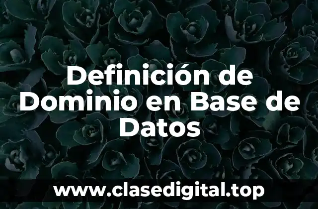 Definición de Dominio en Base de Datos
