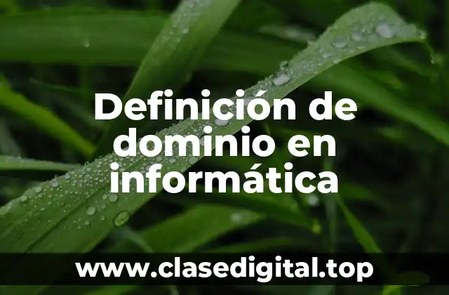 Definición de dominio en informática