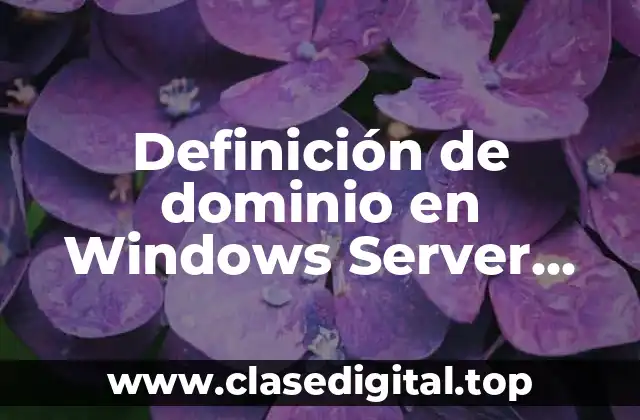 Definición de dominio en Windows Server 2008
