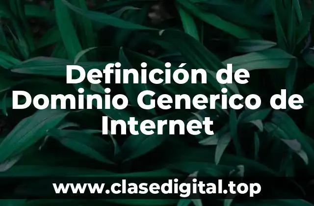 Definición de Dominio Generico de Internet