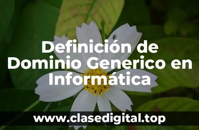 Definición Técnica de Dominio Generico en Informática