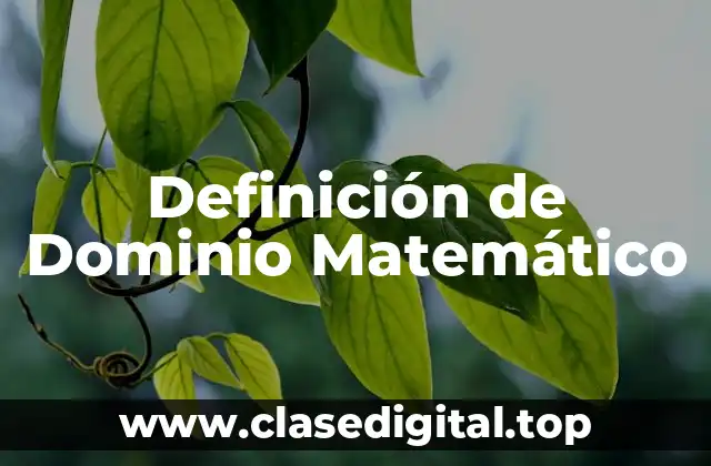 Definición de Dominio Matemático