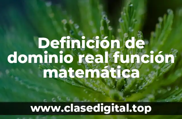 Definición de dominio real función matemática