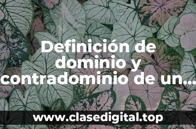 Definición de dominio y contradominio de un control