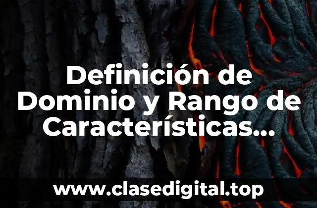 Definición de Dominio y Rango de Características Especiales