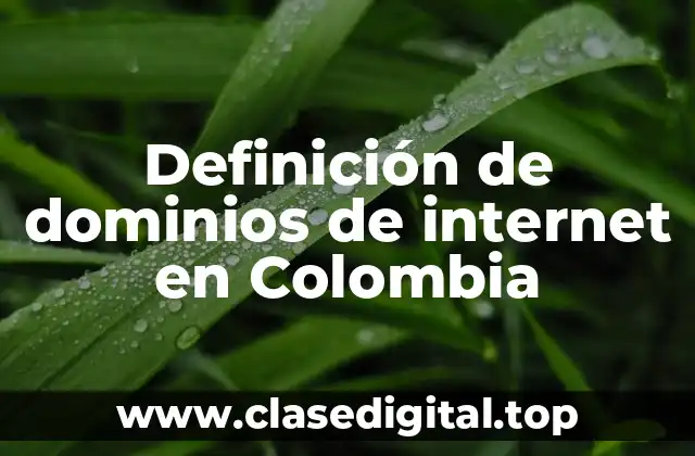 Definición de dominios de internet en Colombia
