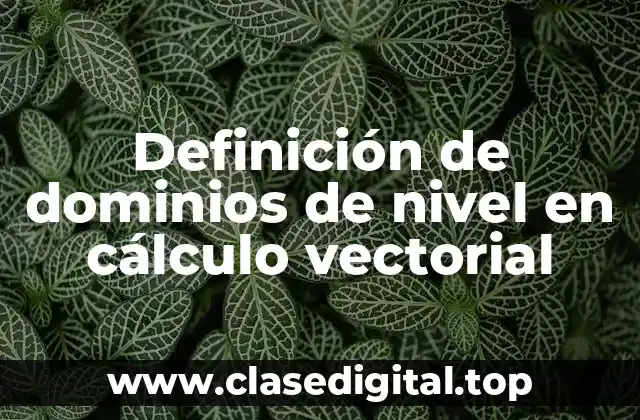 Definición de dominios de nivel en cálculo vectorial