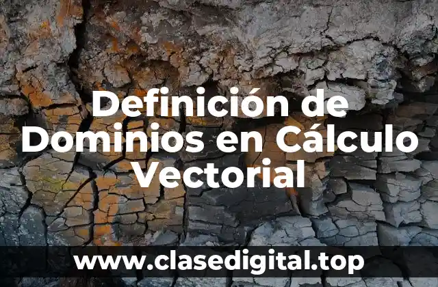 Definición técnica de dominio en cálculo vectorial