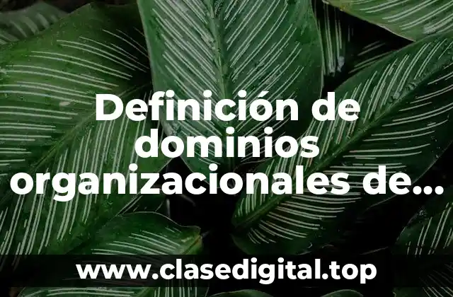 Definición de dominios organizacionales de internet