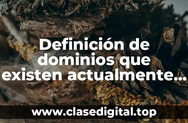 Ejemplos de dominios que existen actualmente en internet