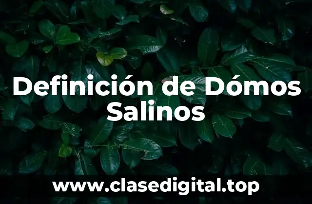 Definición de Dómos Salinos