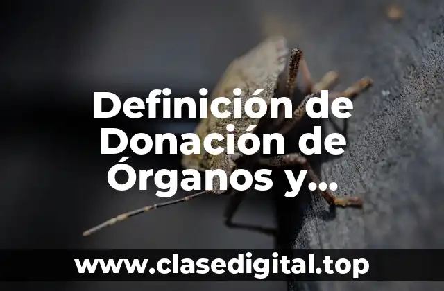 Definición de Donación de Órganos y Trasplantes