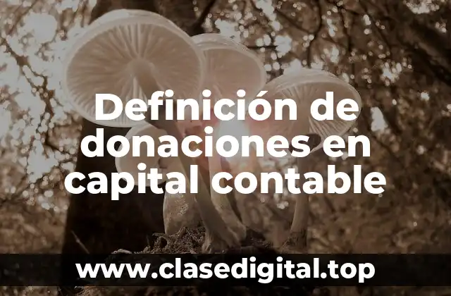 Definición de donaciones en capital contable