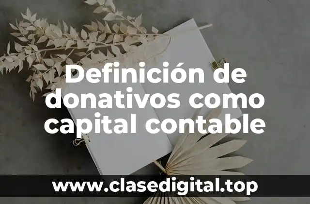 Definición de donativos como capital contable