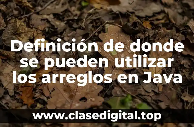 Definición de donde se pueden utilizar los arreglos en Java