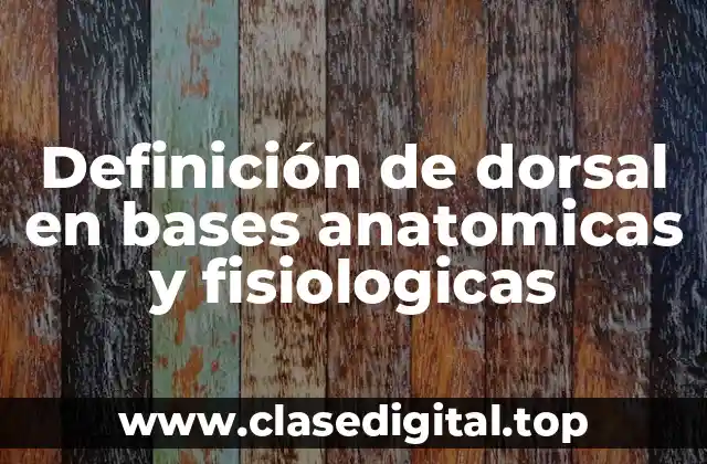 Definición de dorsal en bases anatomicas y fisiologicas