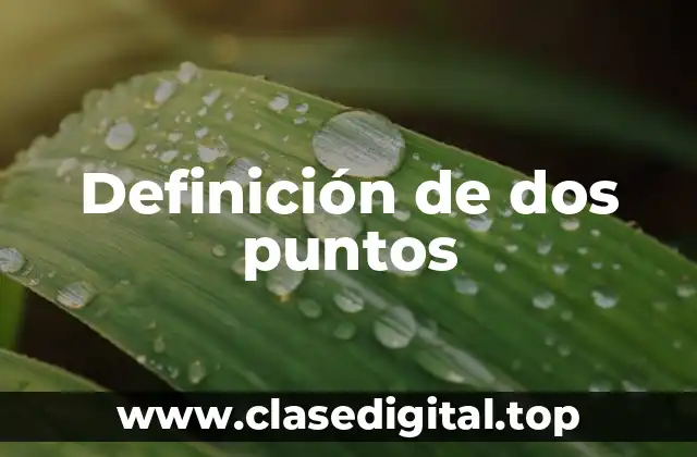Definición técnica de dos puntos