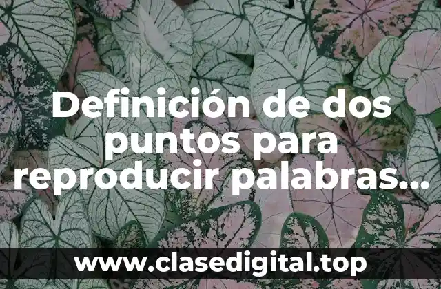 Definición de dos puntos para reproducir palabras textuales