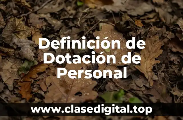 Definición de Dotación de Personal