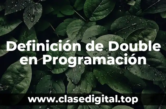 Definición técnica de Double