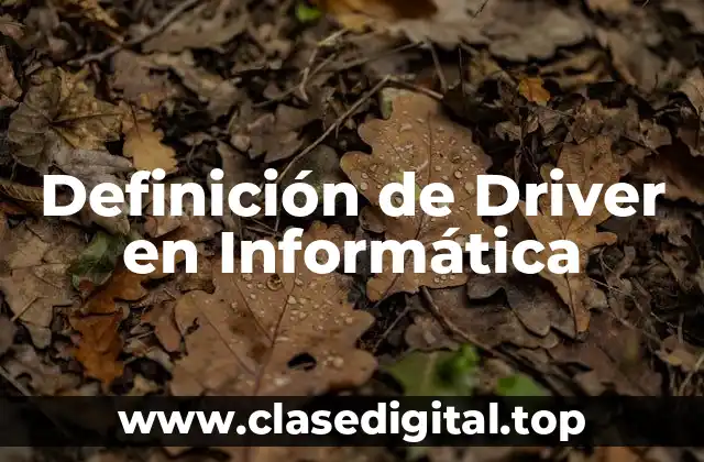 Definición de Driver en Informática
