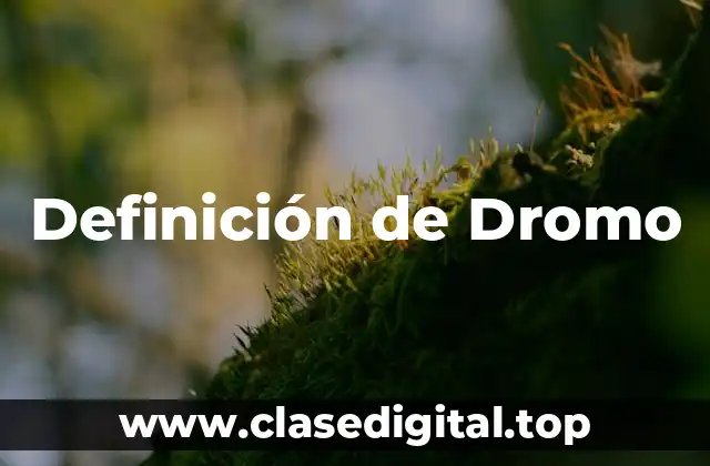Definición de Dromo