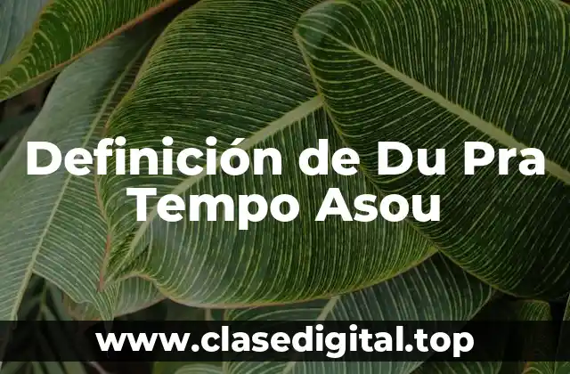 Definición de Du Pra Tempo Asou