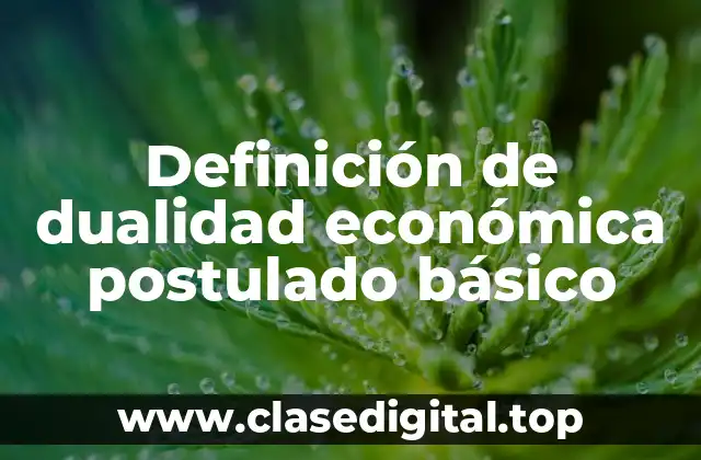 Definición de dualidad económica postulado básico