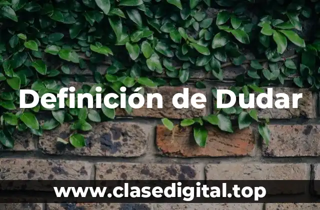 Definición de Dudar