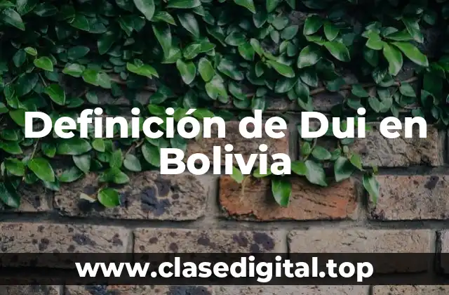 Definición de Dui en Bolivia