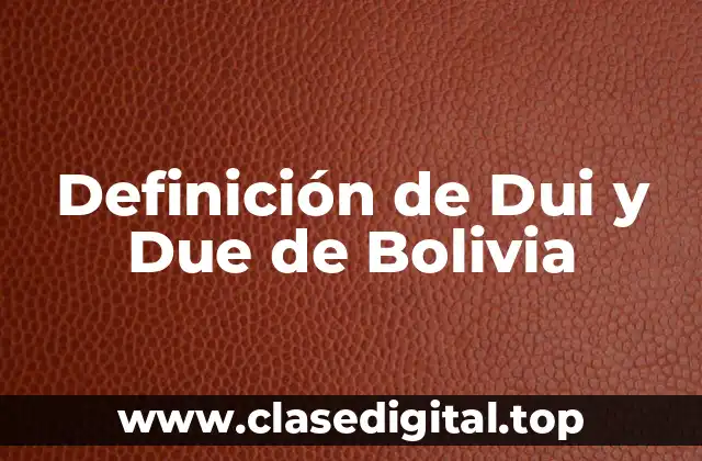 Definición de Dui y Due de Bolivia
