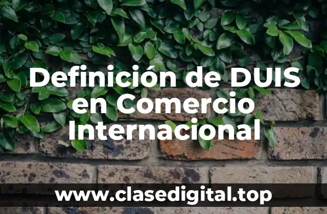 Definición de DUIS en Comercio Internacional