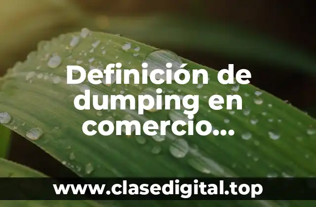 Definición de dumping en comercio internacional