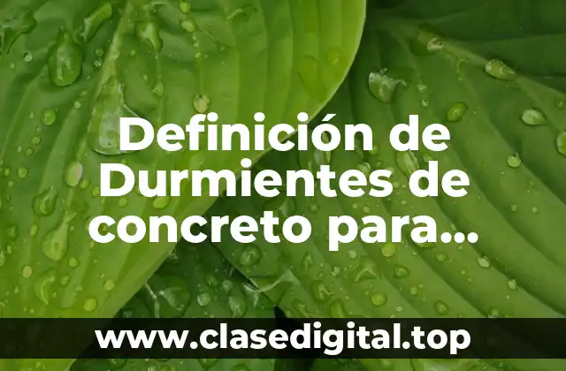 Definición técnica de durmientes de concreto para ferrocarril