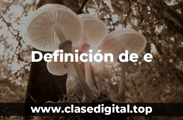 Ejemplos de e-business