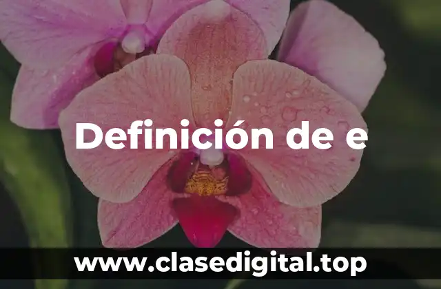 Definición técnica de eCommerce Manager