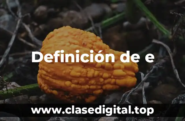 Definición técnica de e-book