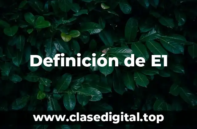 Definición de E1