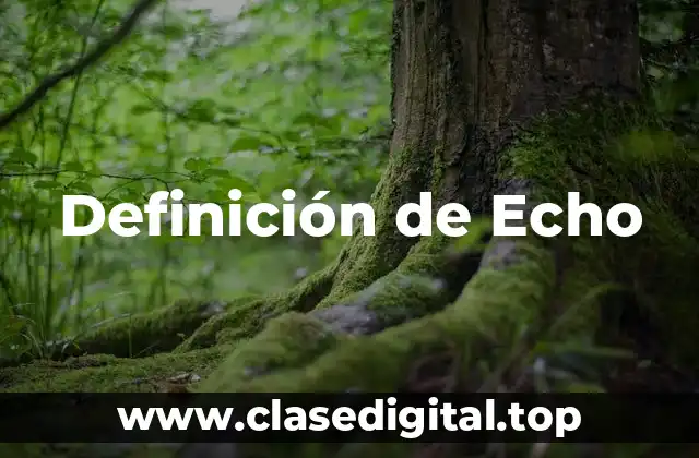Definición de Echo
