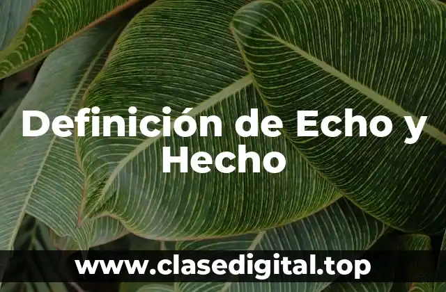 Definición de Echo y Hecho