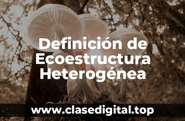 Definición de Ecoestructura Heterogénea