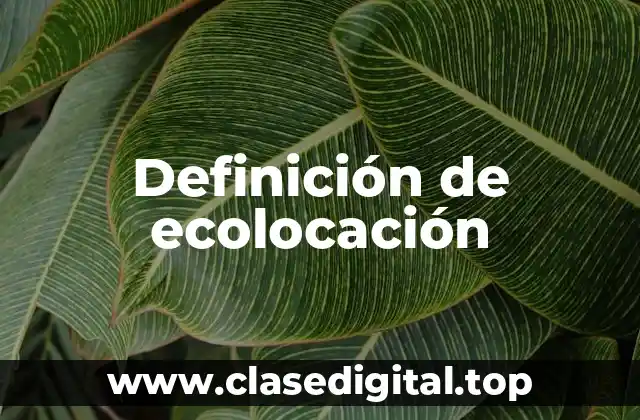 Definición de ecolocación