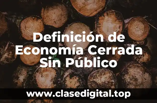 Definición de Economía Cerrada Sin Público