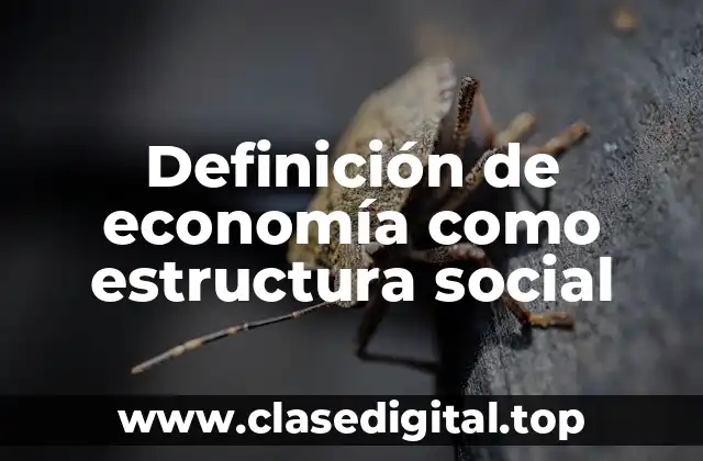 Definición de economía como estructura social