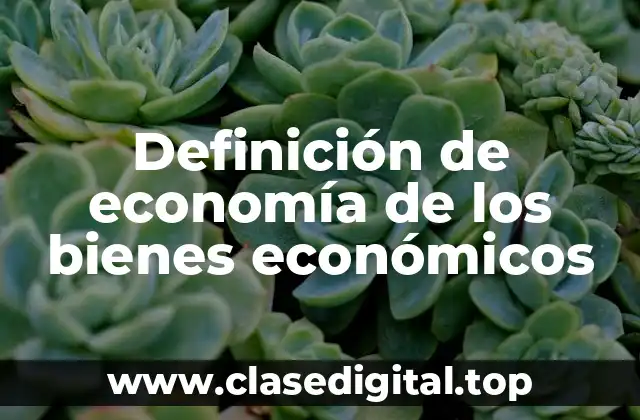Definición técnica de economía de los bienes económicos