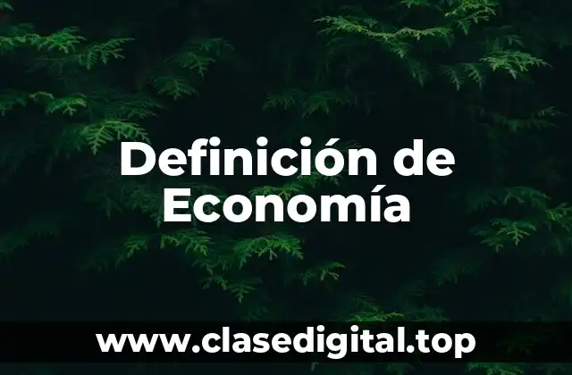 Definición de Economía