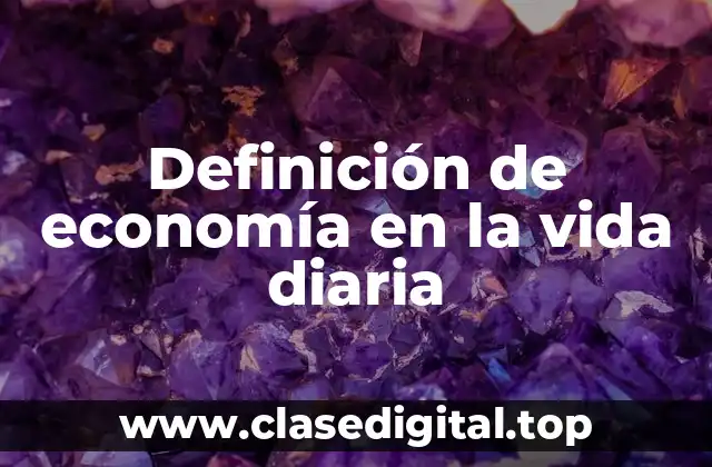 Definición de economía en la vida diaria