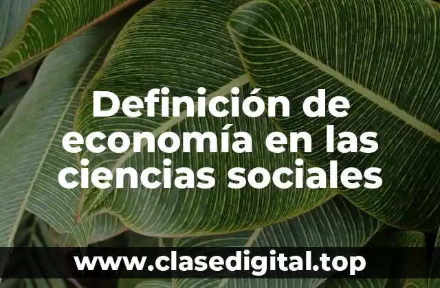 Definición de economía en las ciencias sociales