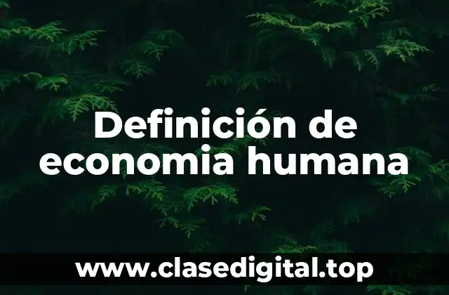 Definición de economia humana