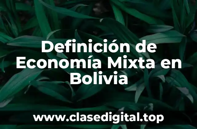 Definición de Economía Mixta en Bolivia